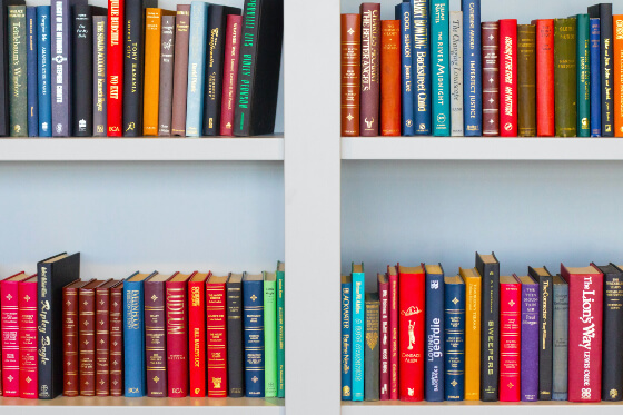 Books sitting on a shelf