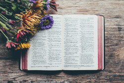 Open Bible with flowers